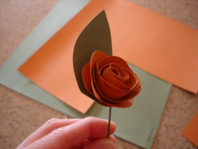 Крученные бумажные розочки Крученные бумажные розочки