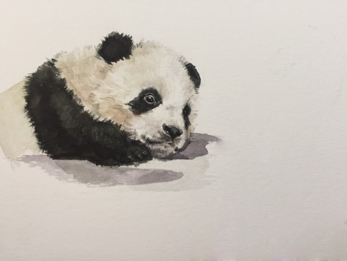 Рисуем с детьми панду