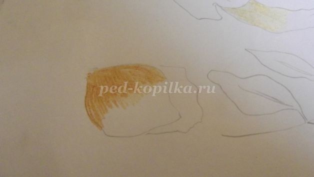 Рисование розы цветными карандашами: часть 1