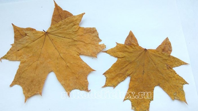 Аппликация из осенних листьев "Лисята"