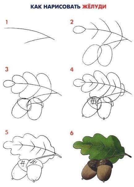 Пошаговые уроки рисования растений