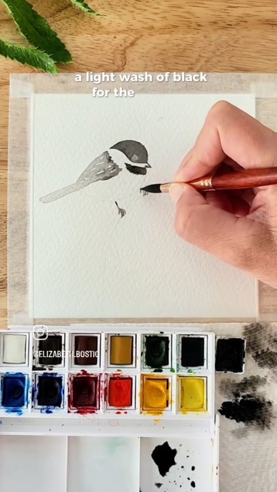 Птичка на маке