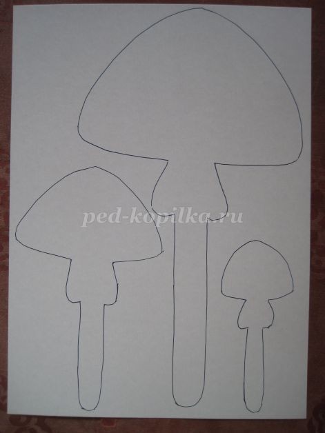 Семья мухоморов: часть 1