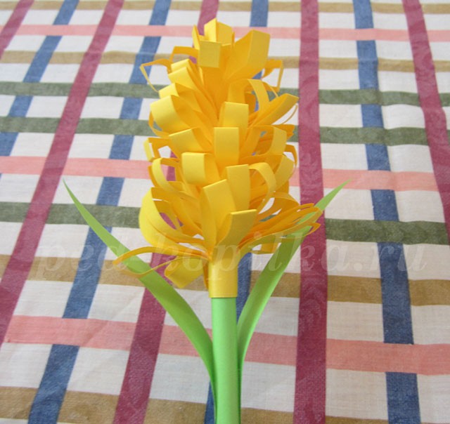 Гиацинт из бумаги: мастер-класс Гиацинт из бумаги: мастер-класс