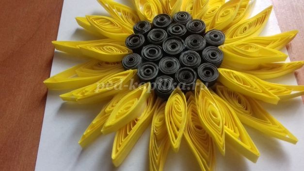 Аппликация "Подсолнух" в технике квиллинга: мастер-класс, часть 1