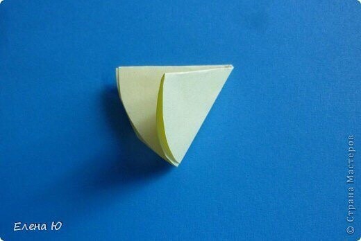 Объемные розы из бумаги Объемные розы из бумаги