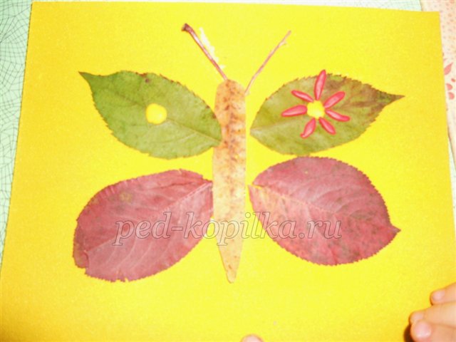 Аппликация из осенних листьев: бабочка