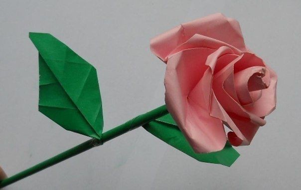 ​Бумажная роза: мастер-класс