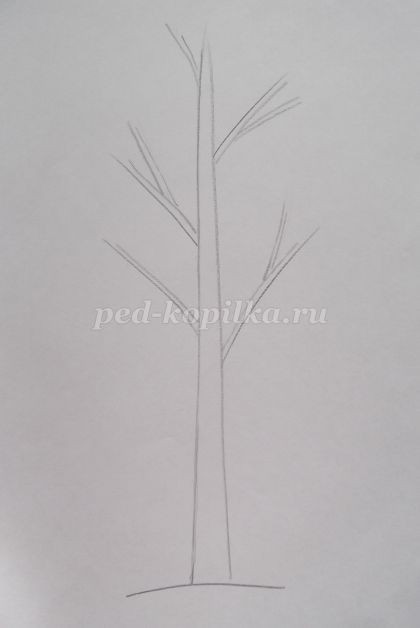 Рисование сосны в технике акварель