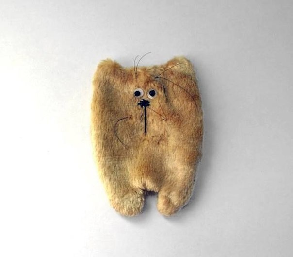 ​Плюшевые коты