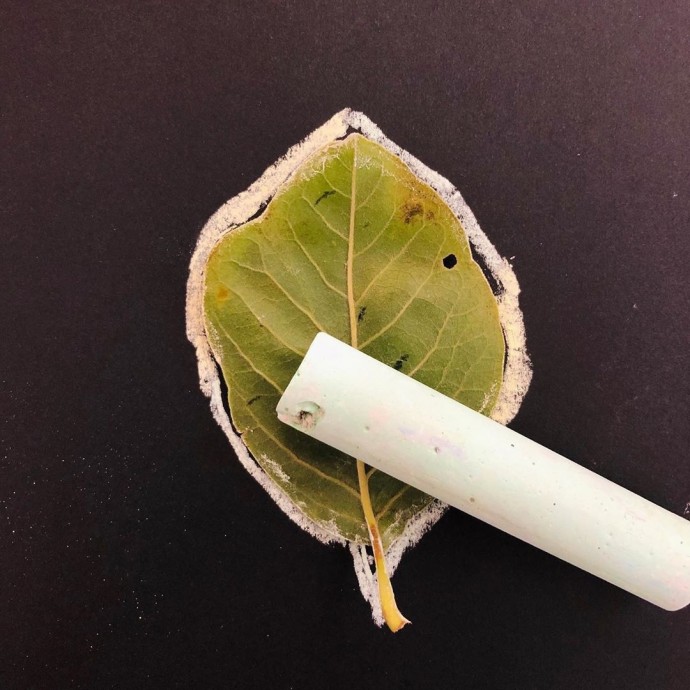 Рисуем листья мелом Рисуем листья мелом