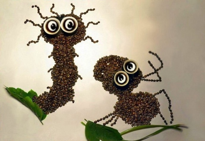 Аппликации из кофейных зерен: идеи
