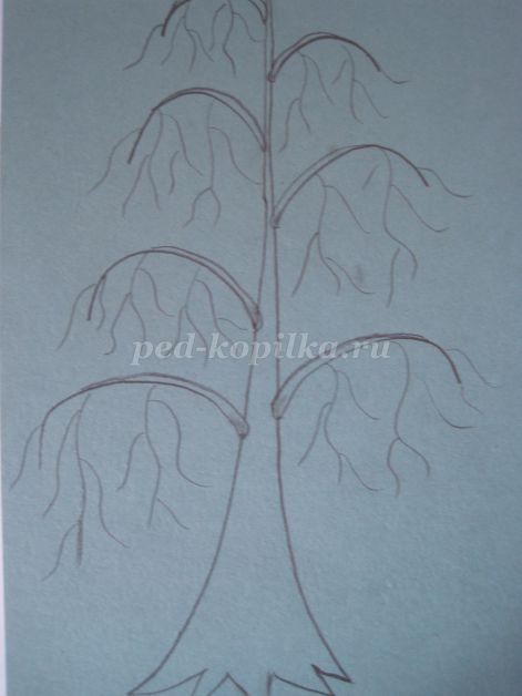 Береза в зимнем уборе: часть 1 Береза в зимнем уборе: часть 1