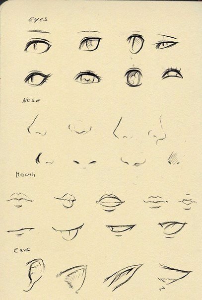 Учимся рисовать элементы лица Учимся рисовать элементы лица