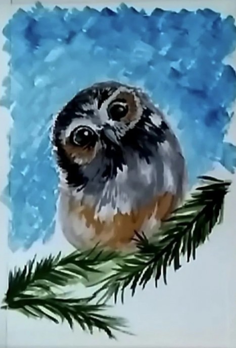Сова на ели Сова на ели