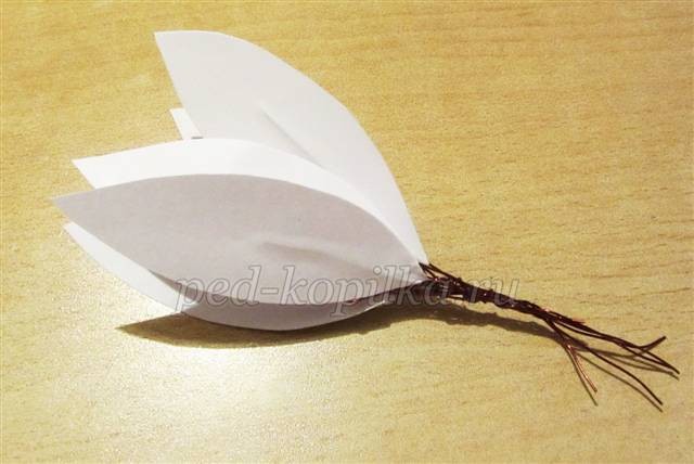 Лилия из бумаги детскими руками