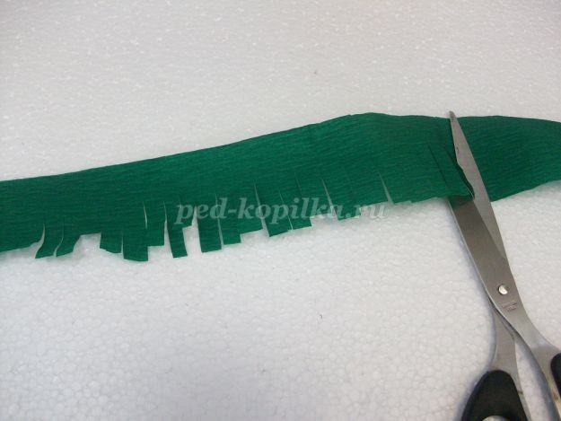 Птичий дворик: часть 2