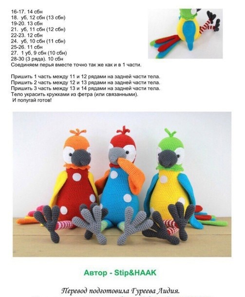 ​Разноцветные попугаи