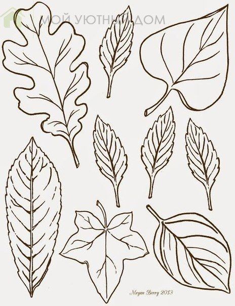 Шаблоны листьев для детского творчества