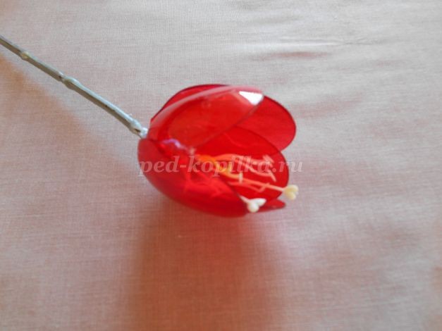 ​Красные тюльпаны из пластиковых ложек: часть 1