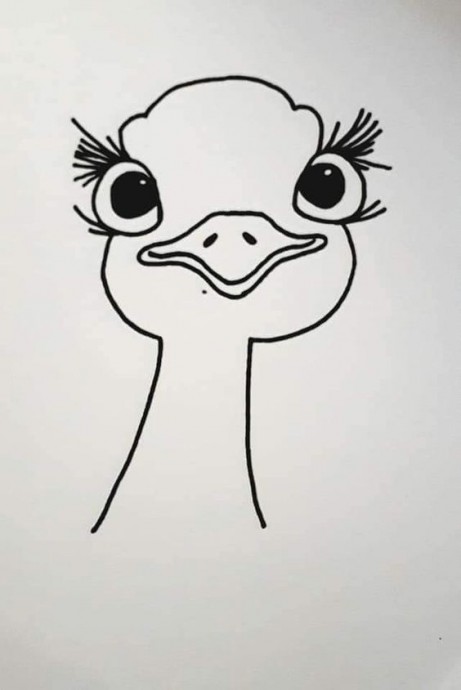 Очаровательный страус Очаровательный страус