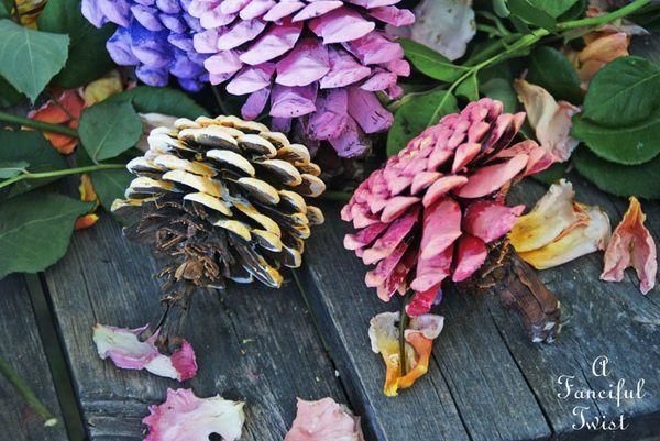 Разноцветные цветы из шишек