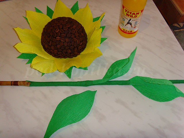 Как сделать подсолнух из кофейных зерен Как сделать подсолнух из кофейных зерен