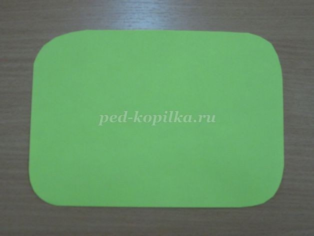 Бабочка и стрекоза среди весенних цветочков: часть 1