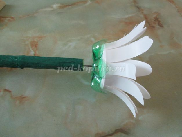 Ромашки из бросового материала детскими руками: часть 5