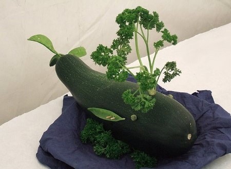 ​Идеи интересных поделок из овощей