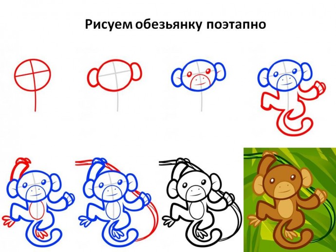 ​Как нарисовать обезьянку