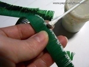 Еловая веточка