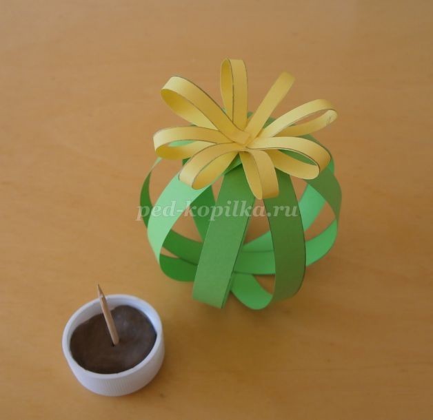 ​Кактус из бумажных полосок: часть 3