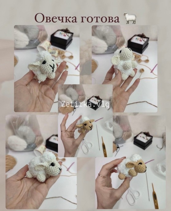 Мини овечка