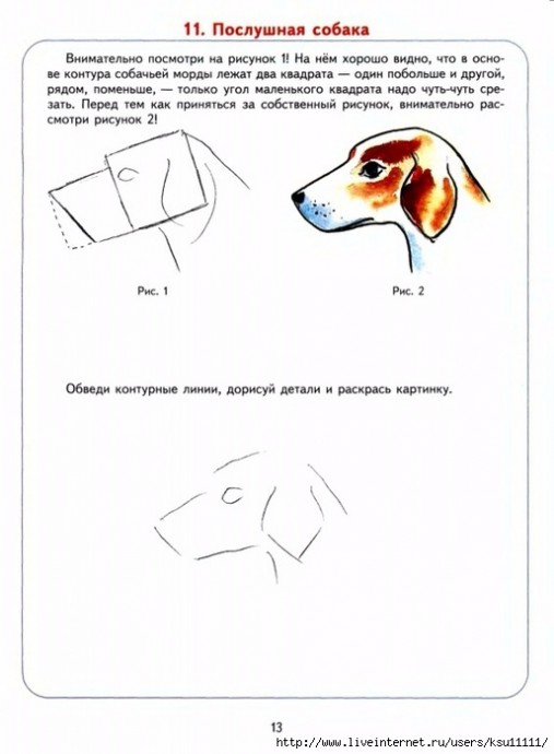 Уроки рисования: зверье мое