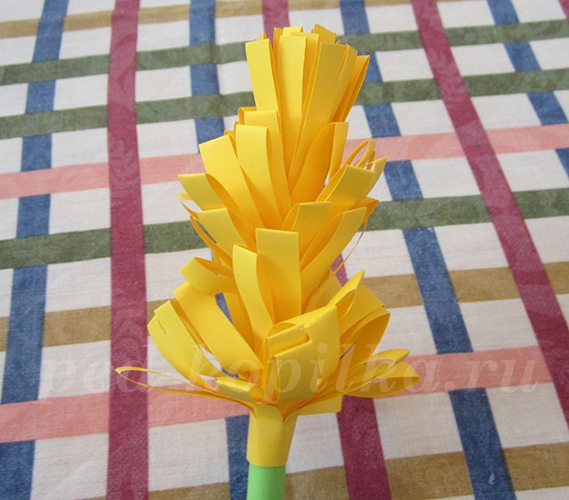 Гиацинт из бумаги: мастер-класс Гиацинт из бумаги: мастер-класс