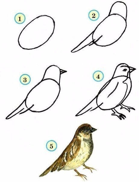 Как нарисовать птиц с детьми