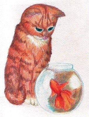 Котенок и рыбка цветными карандашами