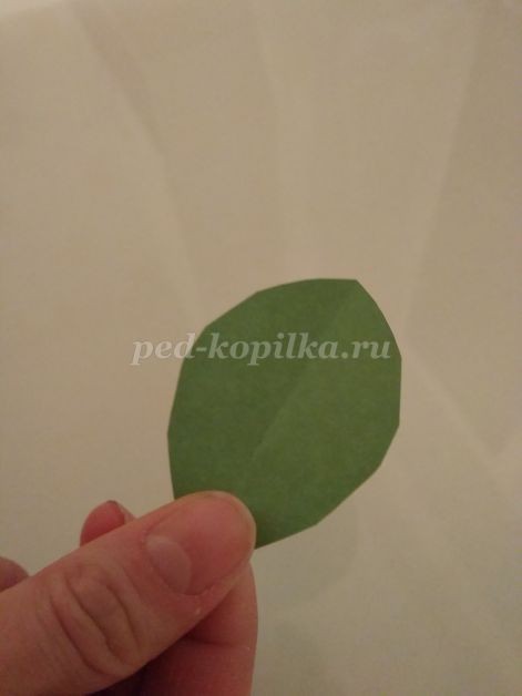 Подсолнух: часть 2