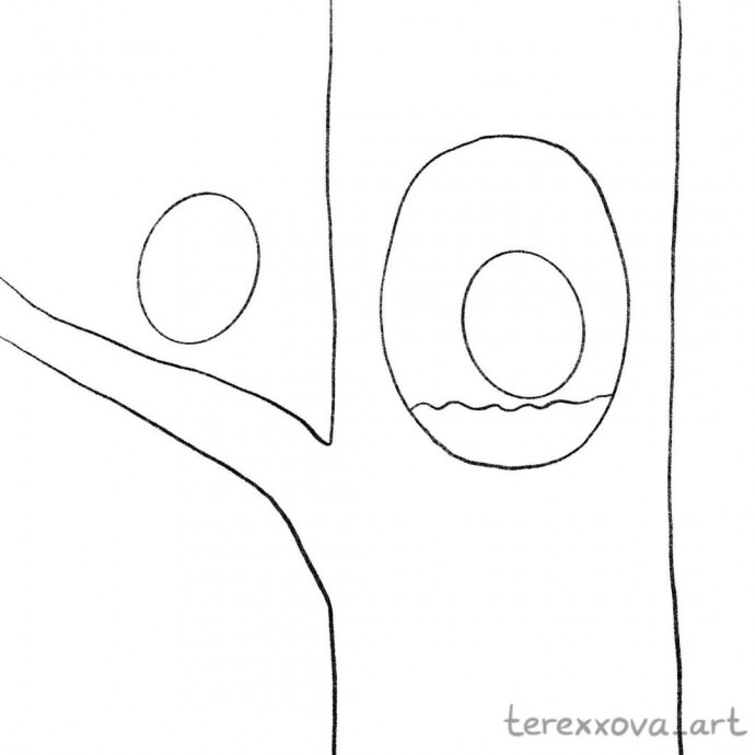 Птички в дупле Птички в дупле