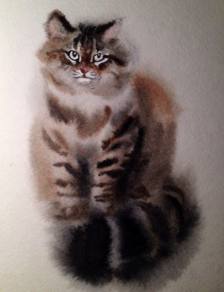 Рисуем котика акварельной краской