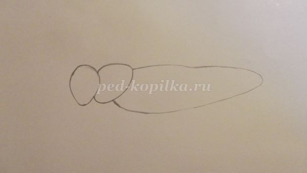 ​Рисуем кузнечика: часть 1