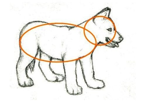 ​Рисуем с детьми волчонка