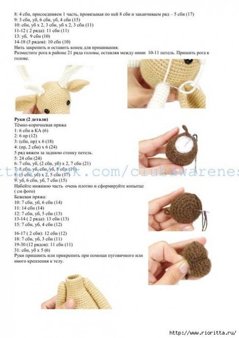 Северные олени Северные олени