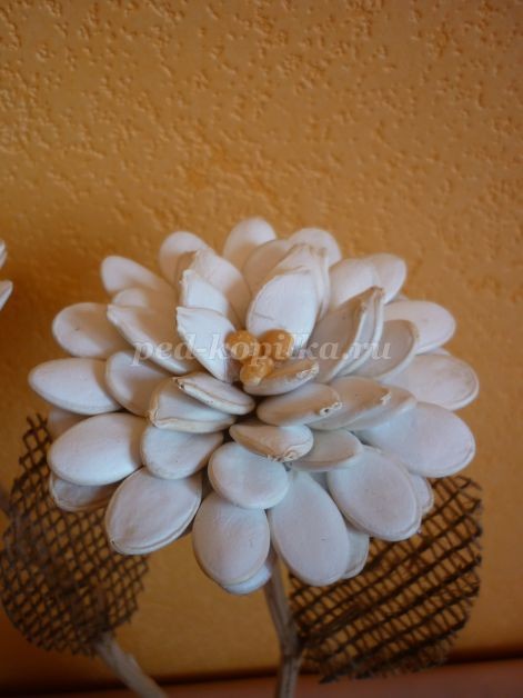 Цветы из тыквенных семечек детскими руками: мастер-класс Цветы из тыквенных семечек детскими руками: мастер-класс