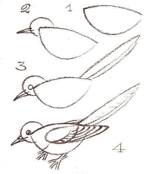 ​Рисуем птичек с малышами
