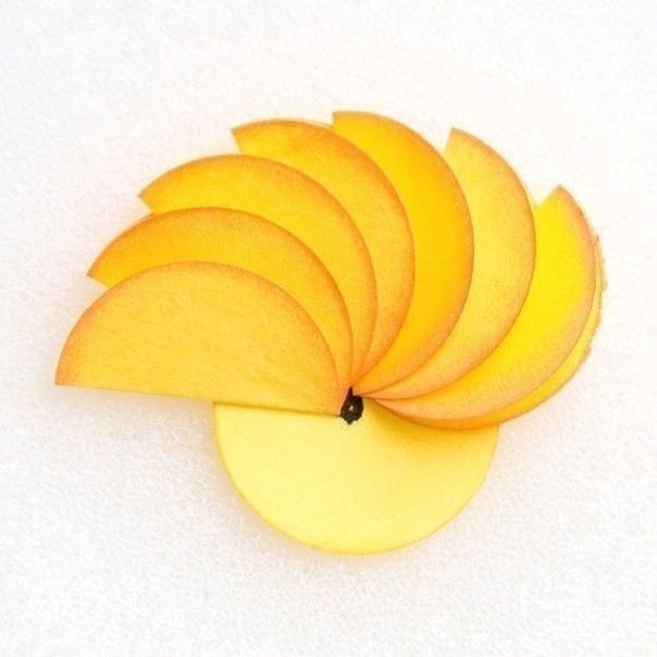 Цветочки из бумажных кружочков Цветочки из бумажных кружочков