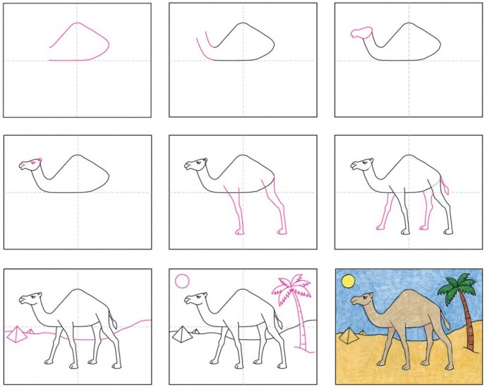 ​Как нарисовать верблюда