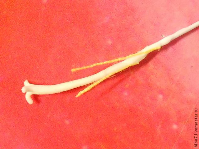 Колокольчик Колокольчик