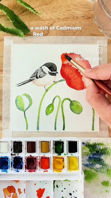 Птичка на маке